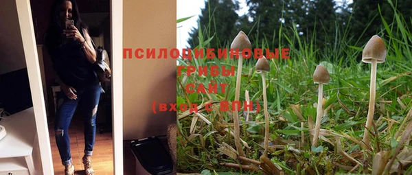 эйфоретик Абаза