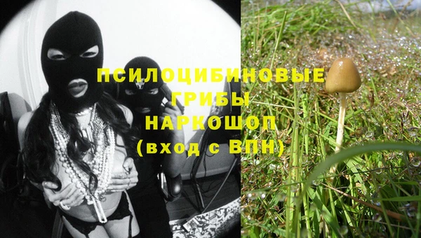эйфоретик Абаза