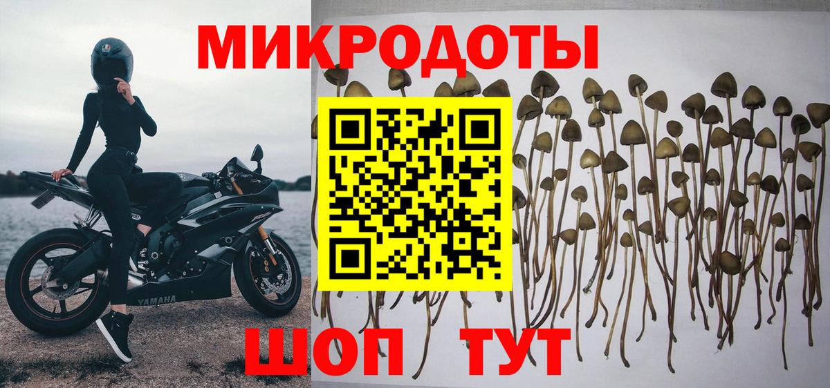 Богородицк  Псилоцибиновые грибы Magic Shrooms  Вход с VPN 
