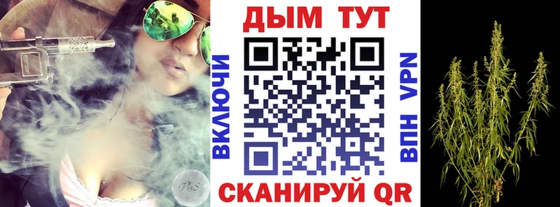 где купить наркотик  Богородицк  hydra зеркало  Марихуана сатива 